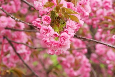 南京线下个人借款平台一站式服务，轻松解决资金难题