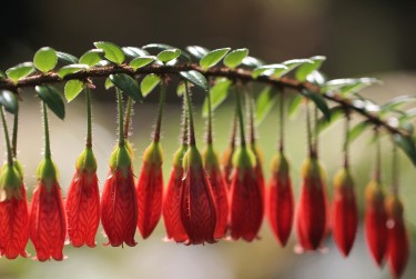 南京零用贷短借：轻松解决临时资金需求