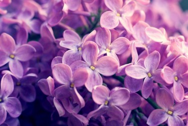 南京企业急用钱贷款攻略：快速融资解燃眉之急